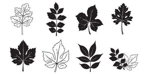 set of leaves silhouettes