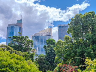Obraz premium 11 November 2025 View of Sydney CBD from Botanical Gardens on the harbour foreshore in Sydney NSW Australia