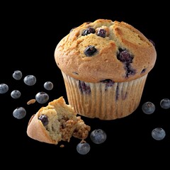 blueberry muffin on a white background