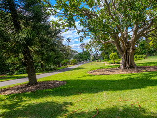 11 November 2025 View of Sydney CBD from Botanical Gardens  on the harbour foreshore  in Sydney NSW Australia
