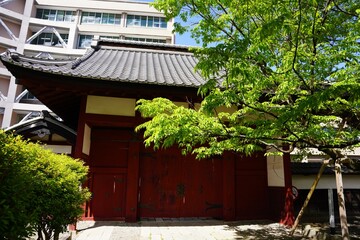 信州　飯田城　桜丸御門　赤門