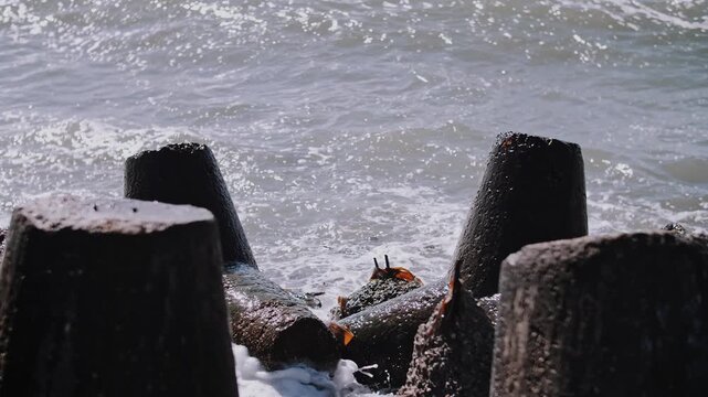 Waves Crashing on Tetrapods, Close-Up