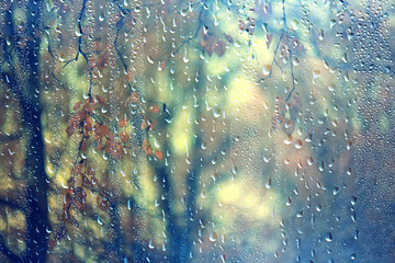 Wet glass, rainy weather, autumn background, rain in the park, blurred abstract backdrop