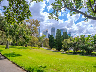 11 November 2025 View of Sydney CBD from Botanical Gardens  on the harbour foreshore  in Sydney NSW Australia