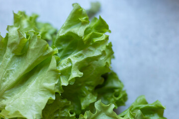 fresh green lettuce, Fresh green salad, vitamins, diet, healthy eating