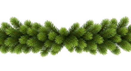 Festive green fir tree garland with realistic needles isolated on transparent background