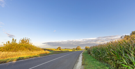 Road with a clear blue sky above it