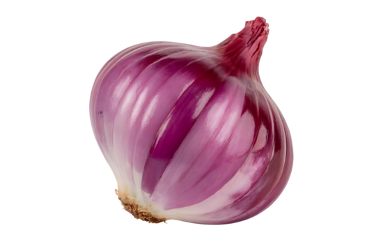vibrant red onion . Isolated on transparent background, png