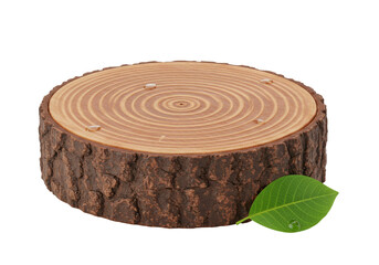 Isolated tree trunk slice with a leaf, wood decoration for rustic interior designs