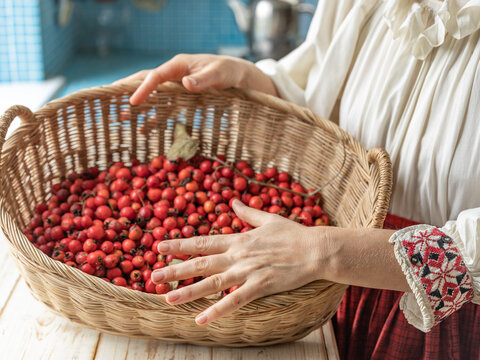 Basket full of red berries is being held by a woman