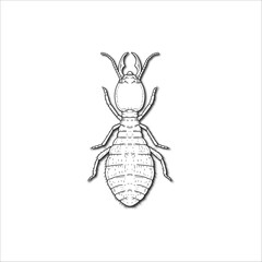 termite sketch drawing artwork handmade illustration