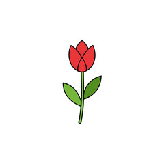 Red tulip with green stem on transparent background
