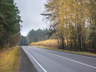 Road with trees on both sides and a sign on the side