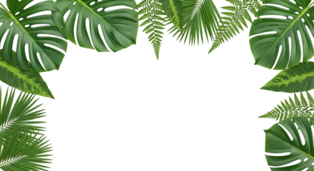 Lush Green Tropical Foliage Border Design with Monstera Fern and Palm Leaves Set Against a Deep Black Backdrop for Text or Creative Overlay Exotic Botanical Frame Decorative