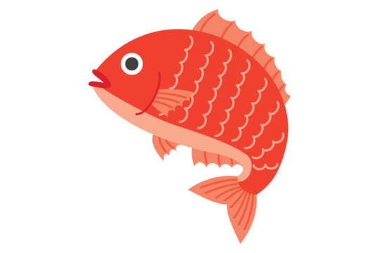 跳ねる　鯛　真鯛　マダイ　タイ　イラスト素材