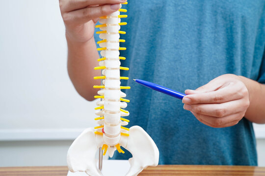 Asian student learning with human bone and spinal nerve model in anatomy biology in classroom at high school.