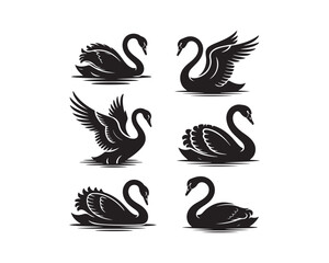 swan silhouette, swan vector, swan collection, swan set, elegant swan, flying swan, swimming swan, lake bird silhouette, romantic swan design, water bird silhouette, black swan vector, white swan outl