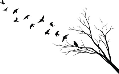Bird silhouette illustration, flying birds, perched bird, leafless tree, nature contrast, black and white art, migration, solitude, minimal design