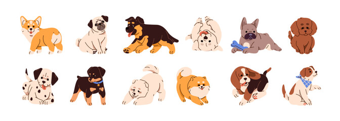 Fototapeta premium Set of cute puppies. Funny pups of different breeds. Happy baby dogs: French bulldog, corgi, pug, dalmatian, spitz, poodle and German shepherd. Flat isolated vector illustrations on white background.