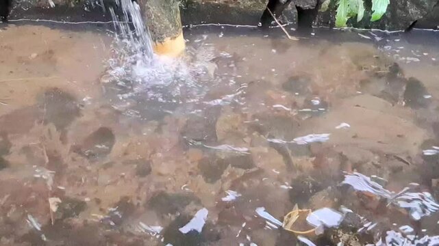 Water bubbling from a pipe into a murky pond surrounded by rocks