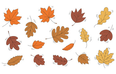 Fototapeta premium vibrant autumn leaves collection, colorful fall foliage falling and blowing in the wind, hand-drawn vector elements for seasonal illustrations, nature scenes, and decorative design projects.