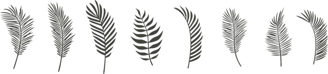 Tropical palm leaf silhouette collection isolated on white background, elegant botanical vector illustration for summer design, exotic jungle  or tropical nature pattern artwork.