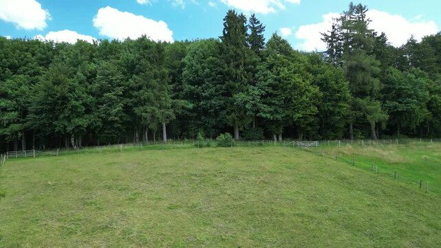 Germany, Bavaria, Allgau, Mindelheim, drone footage of cows grazing in a pasture
