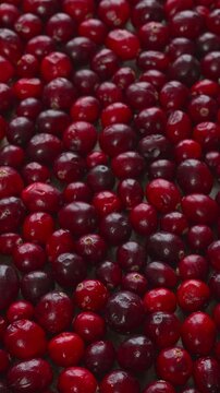 Raw cranberry berries background texture. Table spin, selective focus, vertical video.