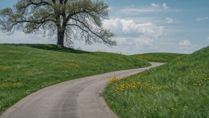 Fototapeta premium Serene Landscape with Winding Path, Grassy Hills, and a Majestic, Sprawling Tree.