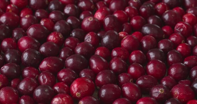 Raw cranberry berries background texture. Table spin, selective focus.