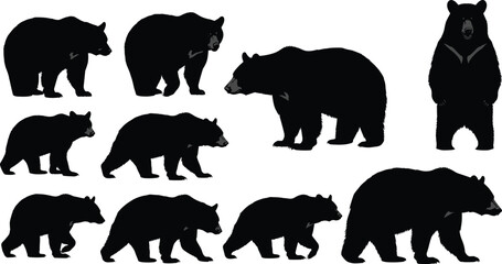 Silhouette bears in various walking and standing poses, wildlife vector set for forest animal design, nature themes, and educational use.