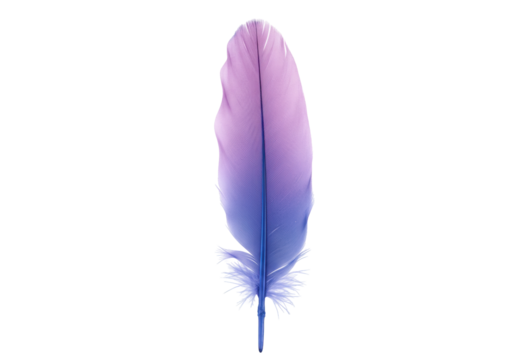 Elegant purple and blue feather isolated PNG, soft plumage detail for design projects and creative compositions
