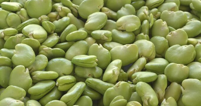 Fresh, uncooked broad beans with peeled second skin. Background texture with selective focus. Table spin, vertical video.