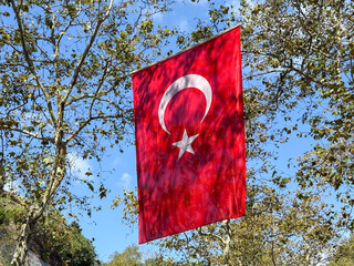 Turkish national flag hanging among trees against blue sky in urban park area