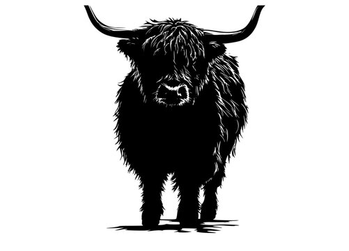 a black and white silhouette of a highland cow with long hornsanimal, bison, black, buffalo, bull, cattle, profile, stand, trumpet, yak 