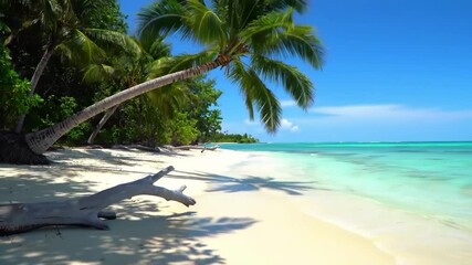 Tropical beach with palm trees and clear turquoise water - Powered by Adobe