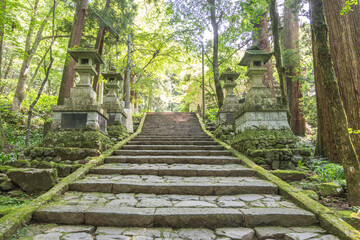 Daiyuzan Saijoji, Minamiashigara, Kanagawa, Japan,Stone steps with lanterns in forest leading to shrine in Japan © Kitinut