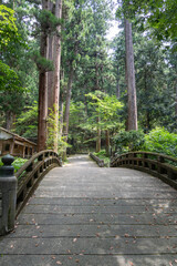 Daiyuzan Saijoji, Minamiashigara, Kanagawa, Japan Wooden bridge crossing forest path surrounded by tall trees in nature park