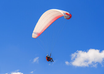 A paraglider is suspended high in a clear, deep blue sky, gliding gently above white, fluffy clouds during a sunny outdoor adventure.