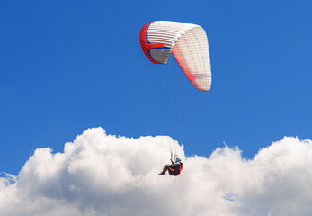 A paraglider is suspended high in a clear, deep blue sky, gliding gently above white, fluffy clouds during a sunny outdoor adventure.