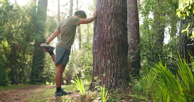 Man, fitness or stretching with legs in forest for workout preparation or outdoor exercise. Active, male person or runner getting ready with tree or warm up for trekking, hiking or training in nature