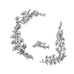Floral frame of cherry blossom branches, sketch. Vector illustration. Square flower wreath isolated on white background. Suitable for cards, invitations, holidays, weddings and birthdays.