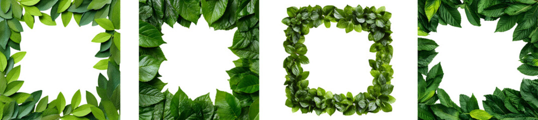 Green leaves frame a white square space natural border design.