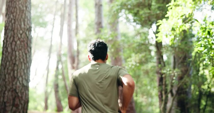 Man, runner or checking with watch in forest for performance, exercise or tracking workout. Fitness, active or male person with wristwatch, time or step counter for outdoor training or goal in nature