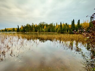 lake shoreline in autumn