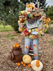 scarecrow and pumpkins