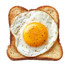A perfectly fried egg centered on a slice of toasted bread