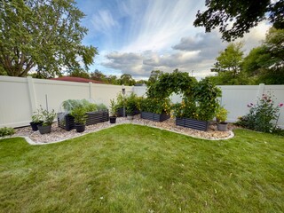 Back yard raised garden beds with plant arch



