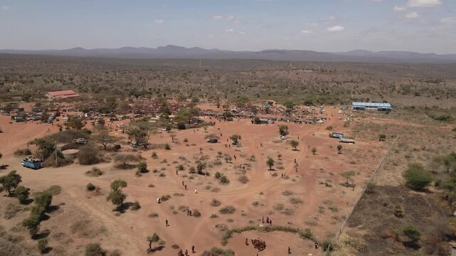 Maasai people trading at kajiado cattle market in kenya