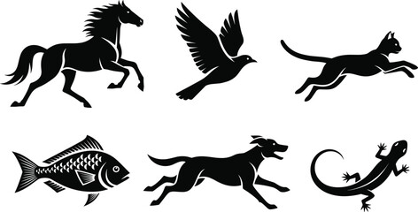 Animal, silhouette, motion, horse, bird, cat, fish, dog, lizard, flying, running, swimming, crawling, black, white, illustration, movement, wildlife, dynamic, leaping